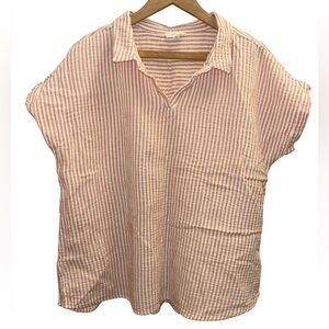 Cotton Bleu Collared V-Neck Gauze Top XL